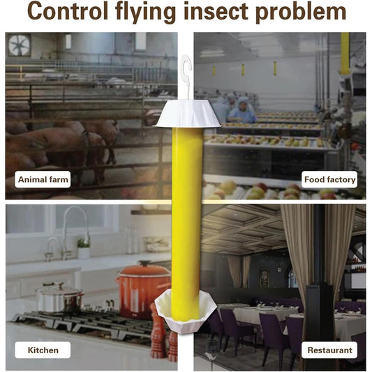 Indoor And Outdoor Sticky Fly Traps,Magic Fly Sticks,Odorless & Safe