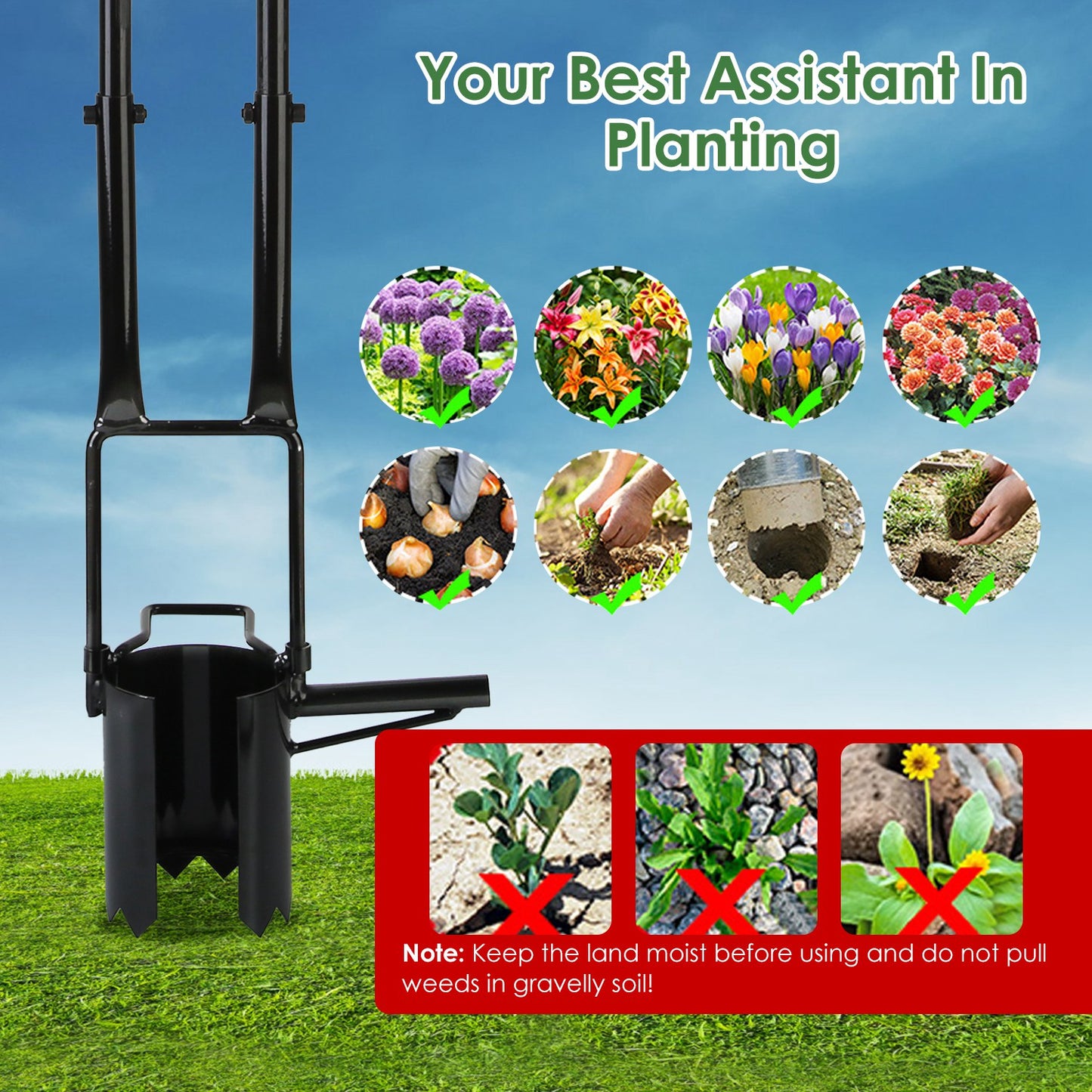 1Set 5 In 1 Bulb Planter Tool Long Handle Gardening Bulb Transplanter With Gloves Brush Serrated Base Dual Pedal Digging Holes To Plant Tulips Iris Daffodil