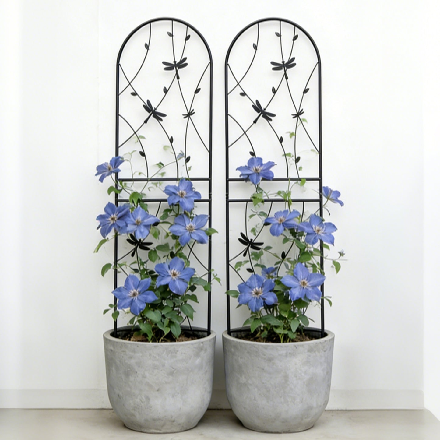 2 Pack Metal Garden Trellis 71  X 19.7  Rustproof Trellis For Climbing Plants Outdoor Flower Support Dragonfly Deco Black