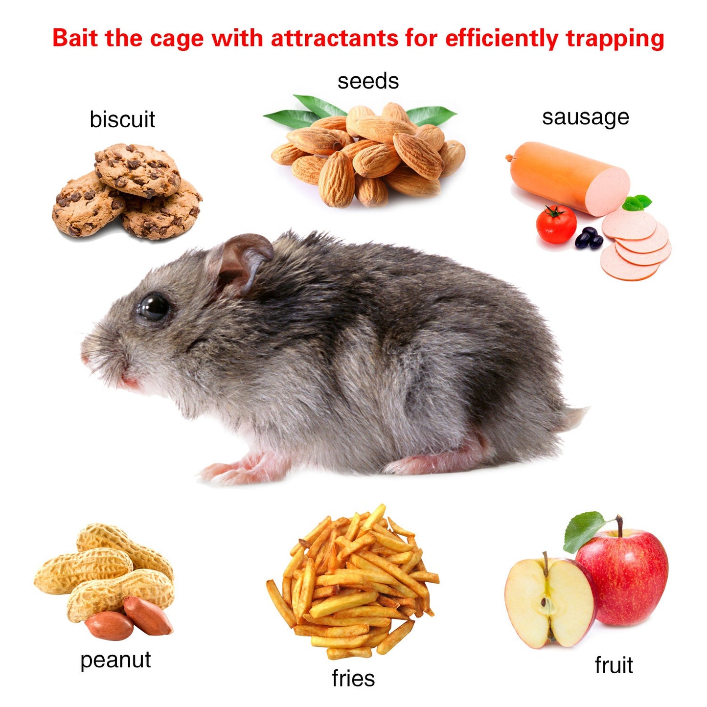Humane Live Animal Trap, Galvanized Steel Mouse Cage Trap With Sensitive Gravity Pedal, Escape-Proof Design, Reusable Rodent Catcher For Home Yard Garage Restaurant