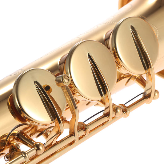 Brass Straight Soprano Sax Saxophone Bb B Flat Woodwind Instrument Nature Shell Key Carve Pattern With Carrying Case Gloves Cleaning Cloth Straps Cleaning Rod