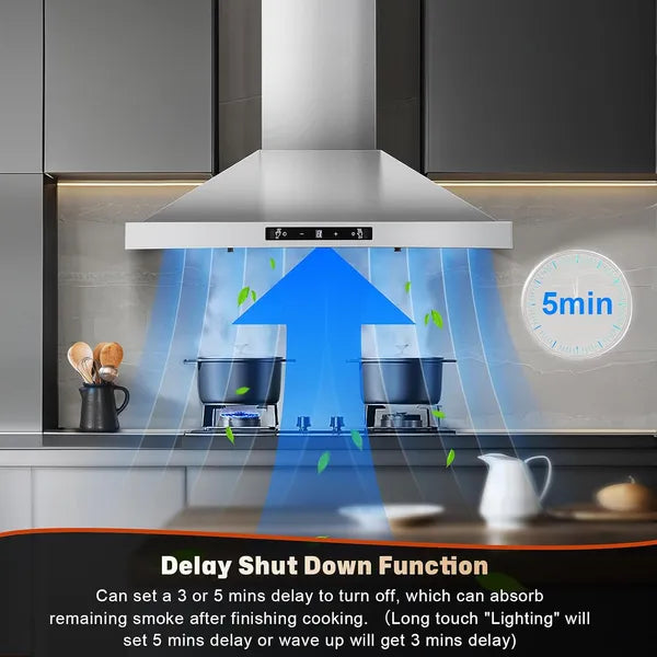 24 Inch Range Hood, Ducted/Ductless Range Hood 450CFM, Wall Mount Kitchen Hood In Stainless Steel, Gesture Sensing & Touch Control, 3 Speed Fan, 2 Pcs Baffle Filters
