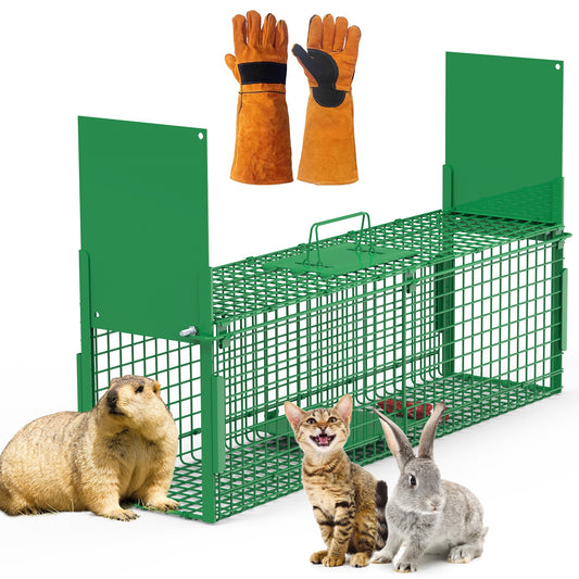 32in 2 Door Live Animal Cage Trap With Glove Green For Animals Under 12LBS Easy To Setup Humane Galvanized Iron Trap Cage For Rabbits Groundhogs Skunk Opossums Nutria Stray Cats