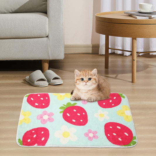 Cute Strawberry Flower Bath Mat, Green Bathroom Rugs Bathroom Accessories, Funny Colorful Non Slip Floor Bath Rug Machine Washable Absorbent Door Mats Tub Shower Bath Rug For Girls Clearance