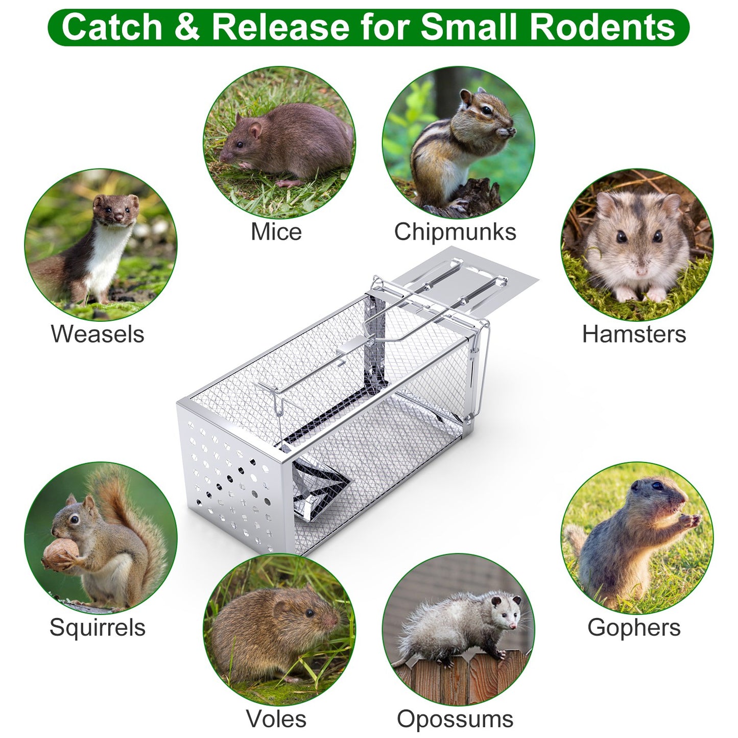 1Pc Single Door Rat Trap Cage Humane Rodent Trap Mouse Trap Indoor Outdoor For Small Rodents Mice Voles Hamsters