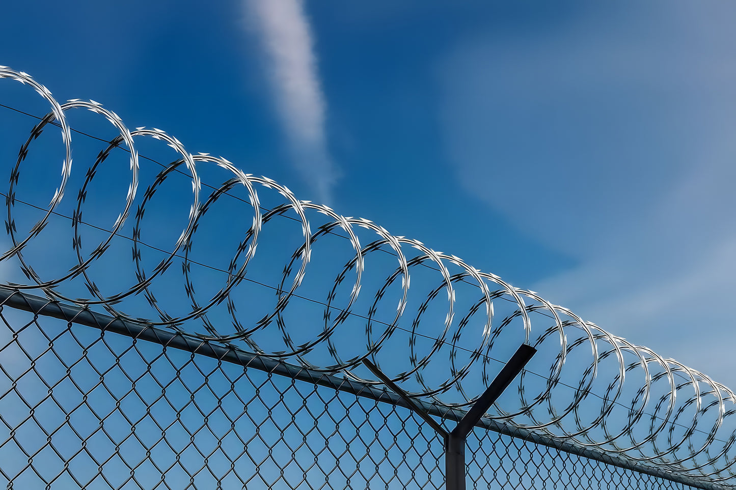 Double Line Barbed Wire Fence, 50-foot Barbed Wire Fence, 1 Roll Barbed Wire Fence, Barbed Wire Fence, Galvanized Barbed Wire Fence, Barbed Wire Fence Roll For Garden
