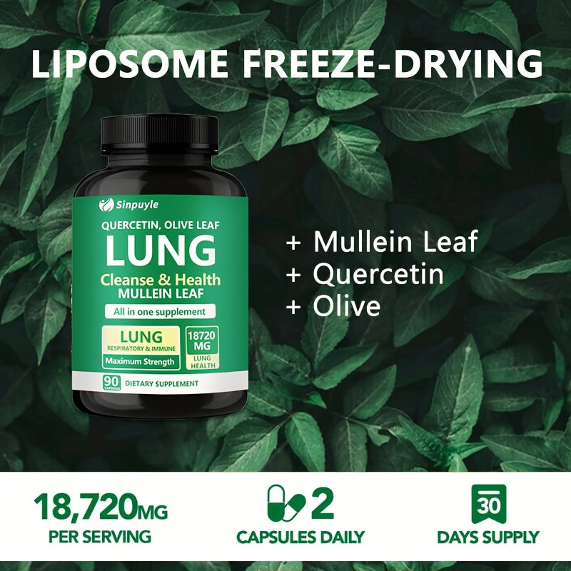 Lung Cleanse Respiratory Support Supplement Mullein Leaf Quercetin 90 Capsules